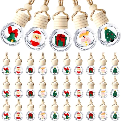 10 Pcs Hanging Car Air Freshener Car Diffuser Bottles, as picture shown, product photo