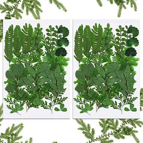 42 Pcs Dried Pressed Leaves for Resin, various shades of green, product photo