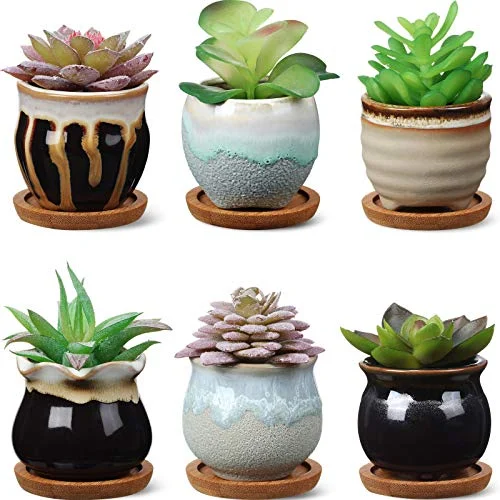 6 Set Mini Succulent Pots with Drainage and Bamboo, elegant style, product photo