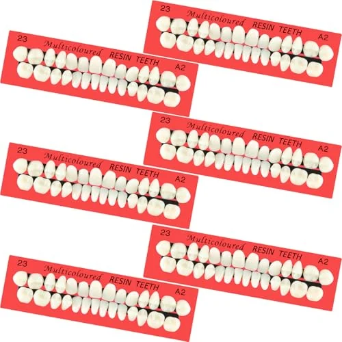 6 Sets Acrylic Resin Fake Teeth artificial teeth Denture, tan, product photo