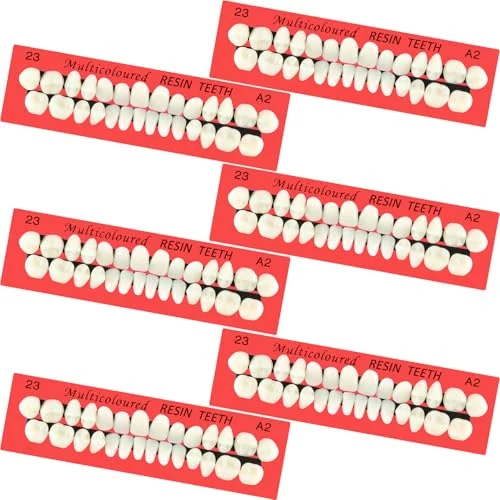 6 Sets Acrylic Resin Fake Teeth artificial teeth Denture, tan, product photo